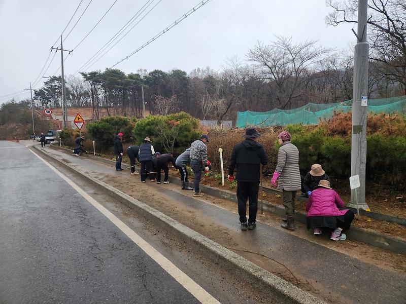 교동면_단체,_꽃길_조성으로_아름다운_강화_만들기