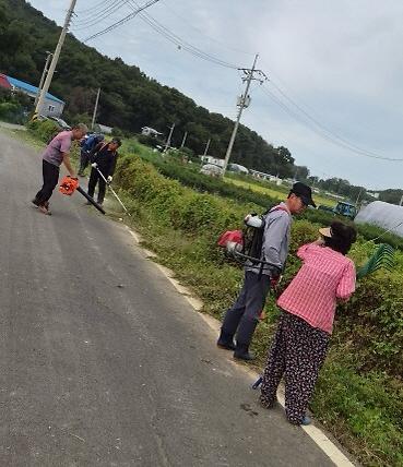 교동면,_주민과_함께_마을별_대청소_실시