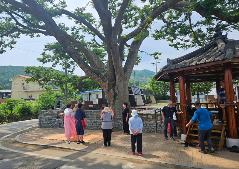 하점면_부근2리,_315년_보호수_아래서_마을_안녕_기원