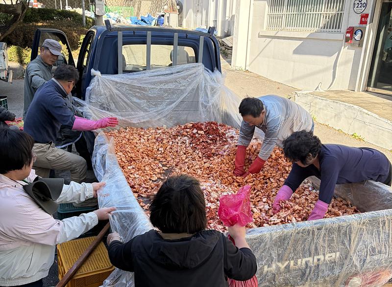 하점면_주민자치위원회,_직접_키운_순무에_이웃사랑_담아