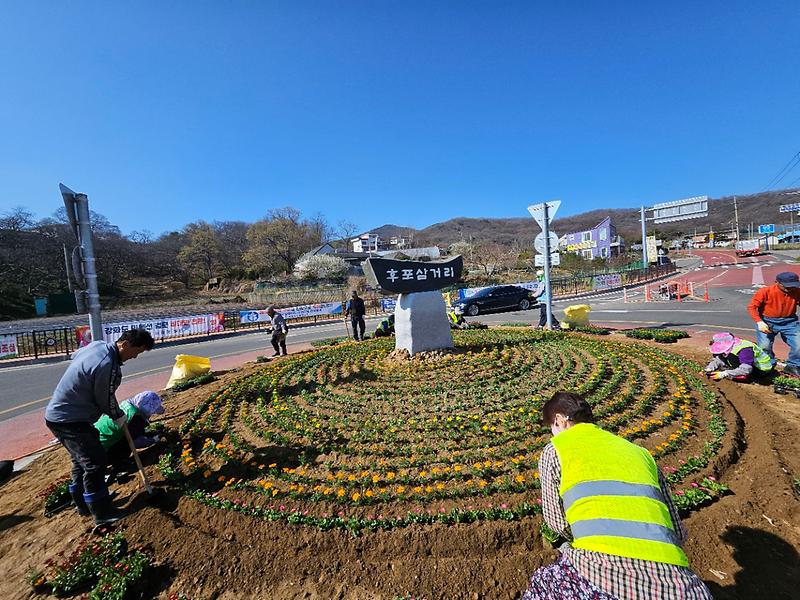 화도면,_봄맞이_꽃단장…봄꽃_식재_및_환경정비에_앞장