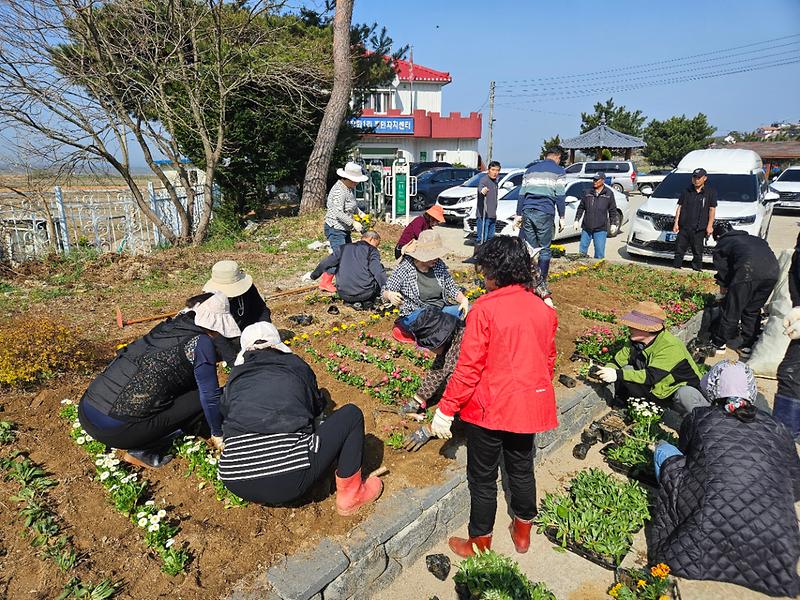 화도면_주민자치위원회,_장화리_일대_알록달록_봄맞이_화단_정비