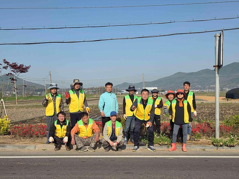 선원면_주민자치위원회,_대청교_일원_계절_꽃_식재