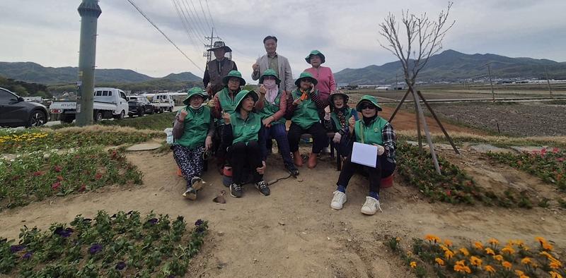선원면_새마을부녀회,_봄꽃_식재로_꽃길_조성