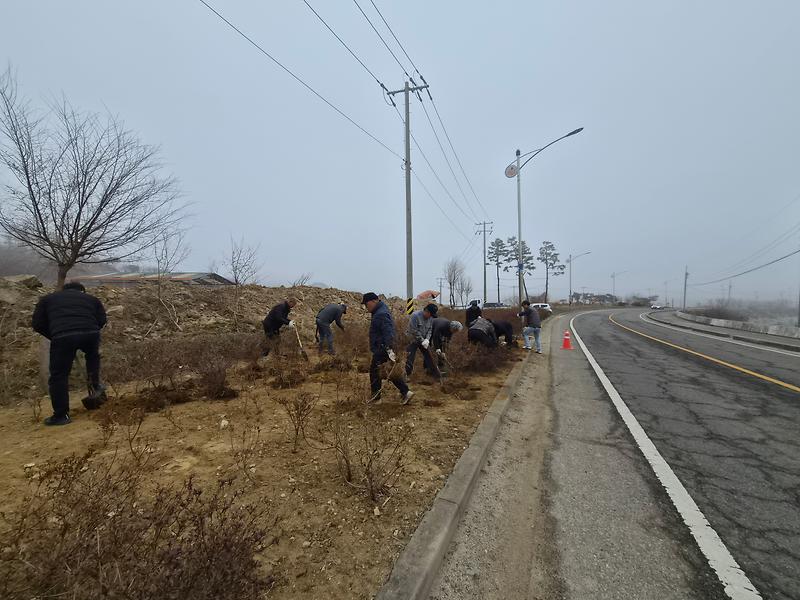 양도면_이장단,_아름다운_양도면_조성…건평리_가로화단_정비
