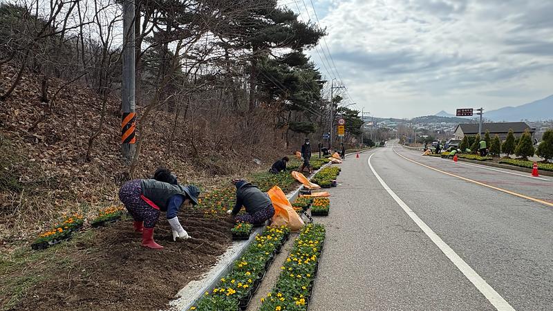양도면_주민자치위원회‧지역사회보장협의체,_봄_향기_가득_경관_조성