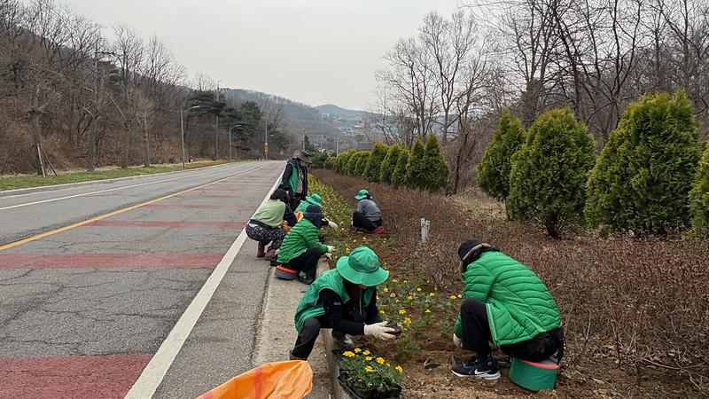 양도면_새마을부녀회,_하우고개_일원_꽃길_조성