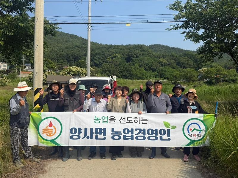 양사면_주요_단체,_릴레이_제초_작업_실시(농업경영인회)