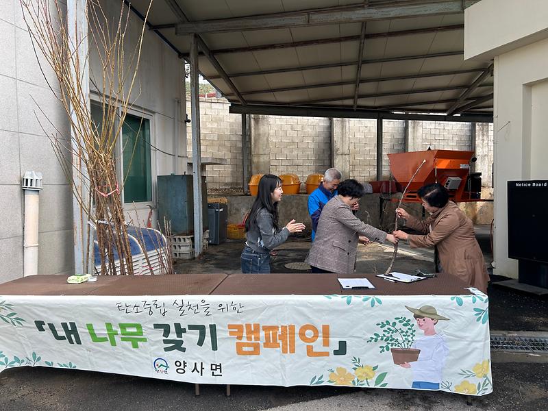 양사면,_내_나무_갖기_캠페인_실시