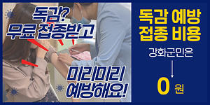 독감예방접종→강화군민 ⭐0원⭐｜전 군민 무료 인플루엔자 접종 사진