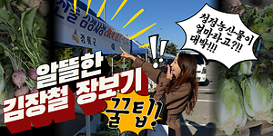 올겨울 김장 어떻게 하지?😬｜알뜰한 김장철 장보기 꿀팁🍯｜김장재료 저렴하게 한방에 구입하기🥬｜2024 강화김장시장 사진