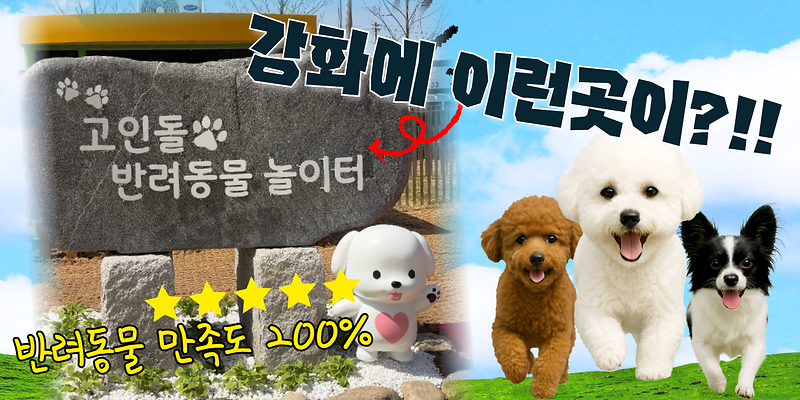 강화에 이런곳이 생겼다고?!!｜반려동물 만족도 200%🐶❤｜고인돌 반려동물 놀이터 전격 공개✨ 사진