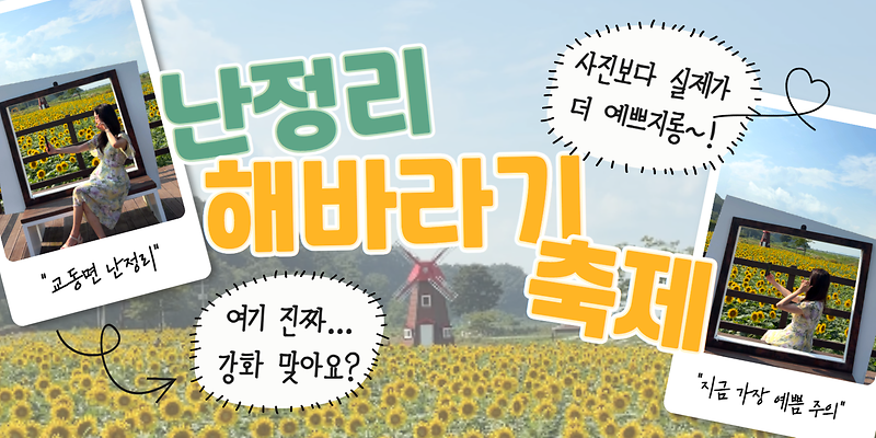 여기 진짜 강화 맞아요?!😲｜사진보다 실제가 더 예쁘지롱💛｜교동면 난정리 해바라기 축제🌻 사진