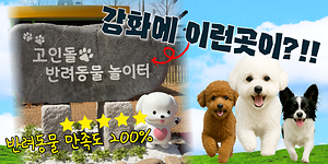 강화에 이런곳이 생겼다고?!!｜반려동물 만족도 200%🐶❤｜고인돌 반려동물 놀이터 전격 공개✨ 사진