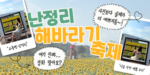 여기 진짜 강화 맞아요?!😲｜사진보다 실제가 더 예쁘지롱💛｜교동면 난정리 해바라기 축제🌻 사진