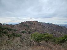 2024. 3. 28. 고려산 진달래 개화현황