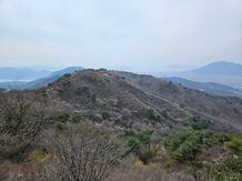 2024. 4. 2. 고려산 진달래 개화현황