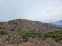 	2024. 4. 3. 고려산 진달래 개화현황