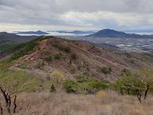 2019.4.10 고려산 진달래 개화현황