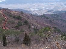  2019. 4. 9. 고려산 진달래 개화상황  