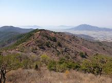 2019 4.12 고려산 진달래 개화현황 