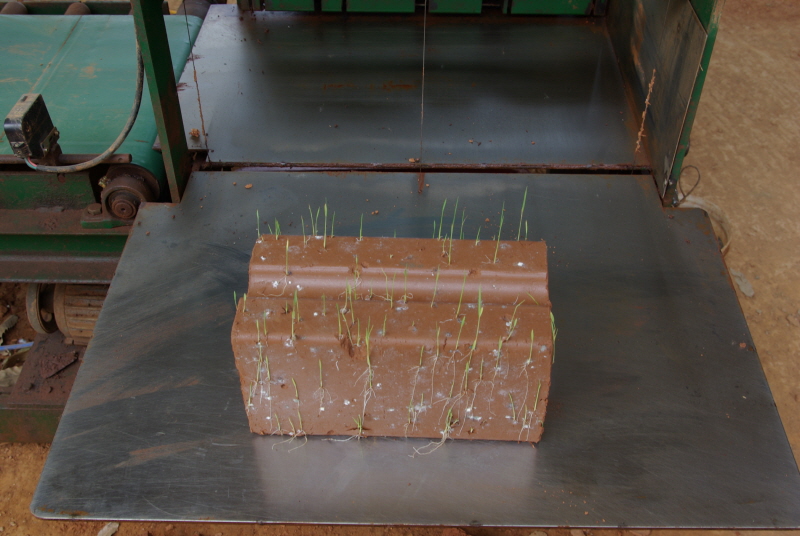 강화도황토벽돌 사진2