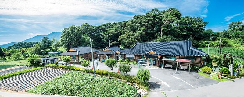 편가네 된장 사진