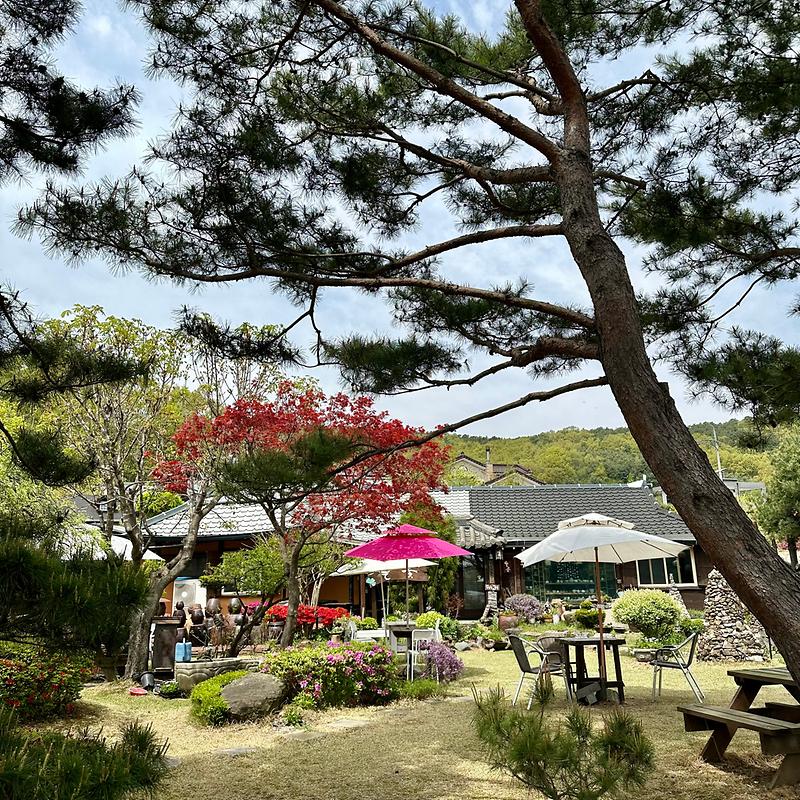 들꽃찻집 사진2