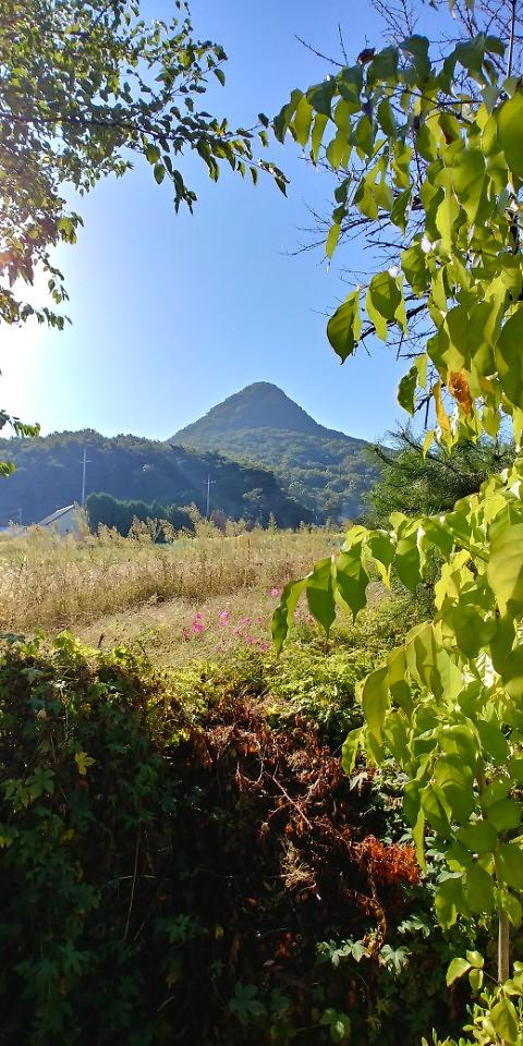 맘커피갤러리 사진8