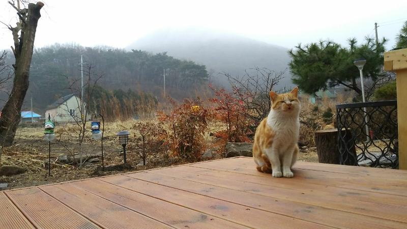 맘커피갤러리 사진12