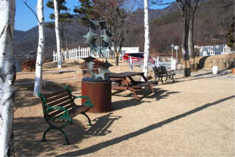 도레도레 사진2