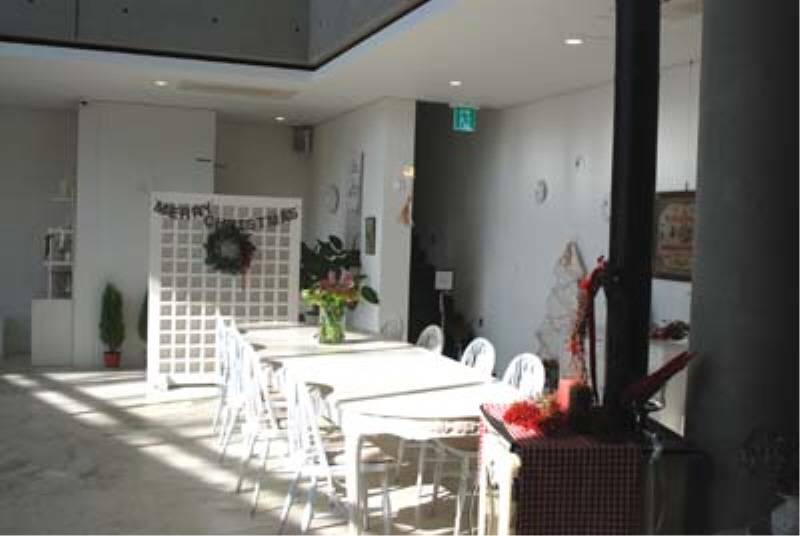 도레도레 사진4