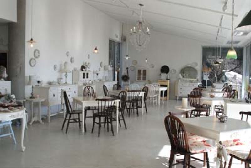 도레도레 사진5