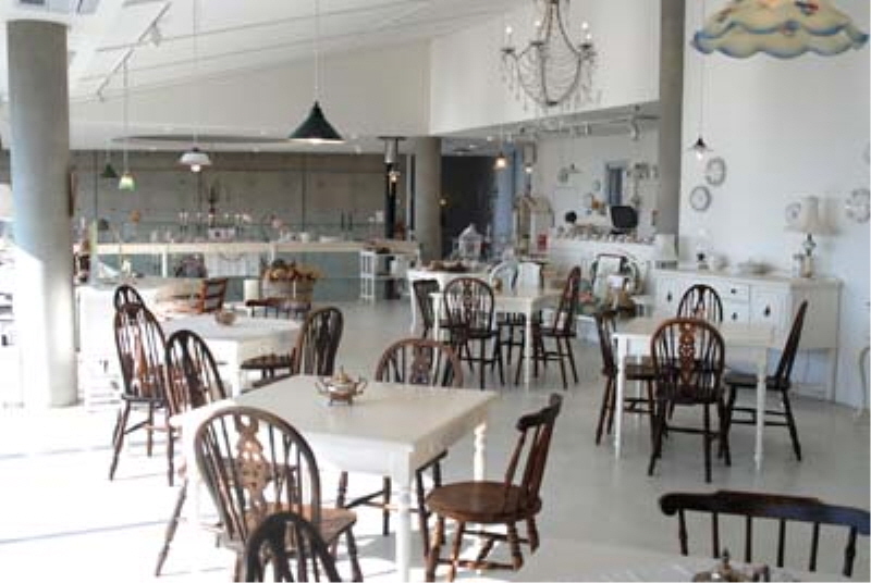 도레도레 사진6