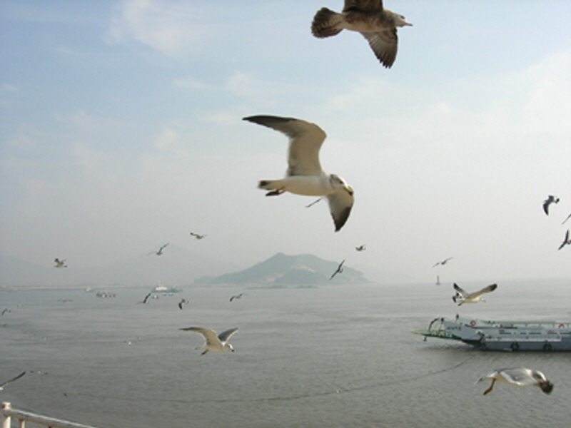 은성횟집 사진2