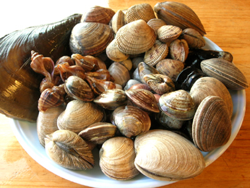 은성횟집 사진6