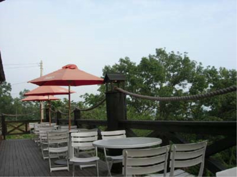 까사미아 썬 셋 사진3