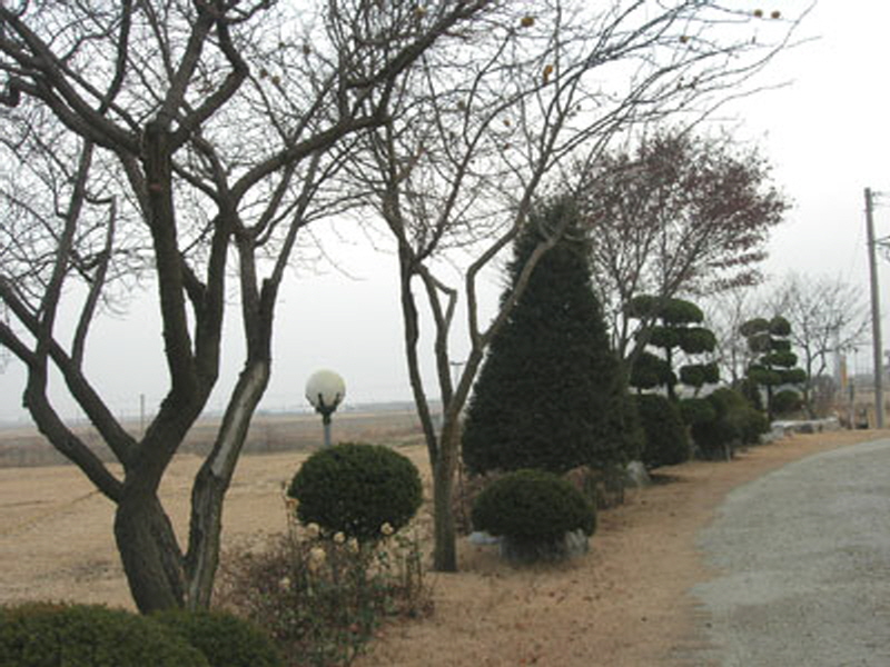 꽃게와 낚지 사진4