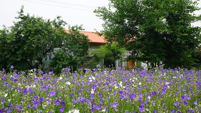 맘커피갤러리 사진6