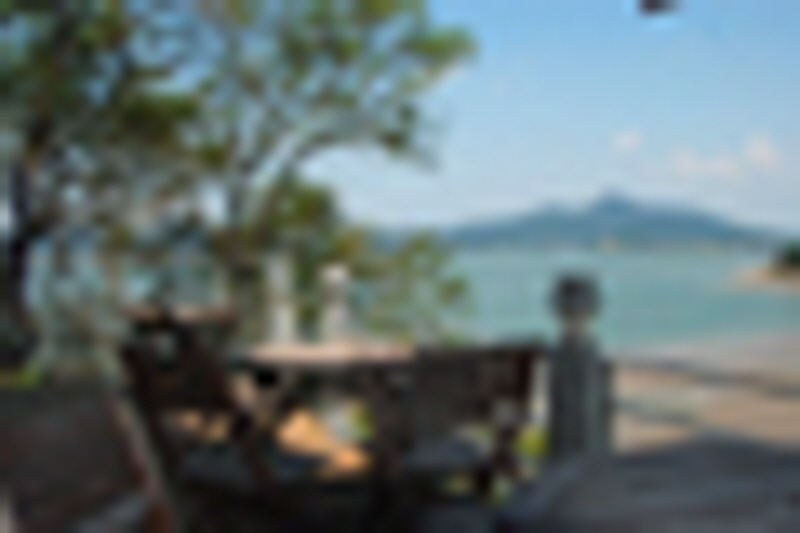 내리해물 사진2