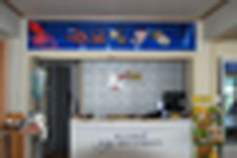 내리해물 사진3