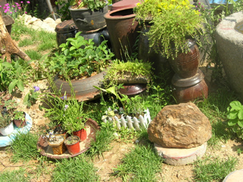 외포리꽃게집 사진5