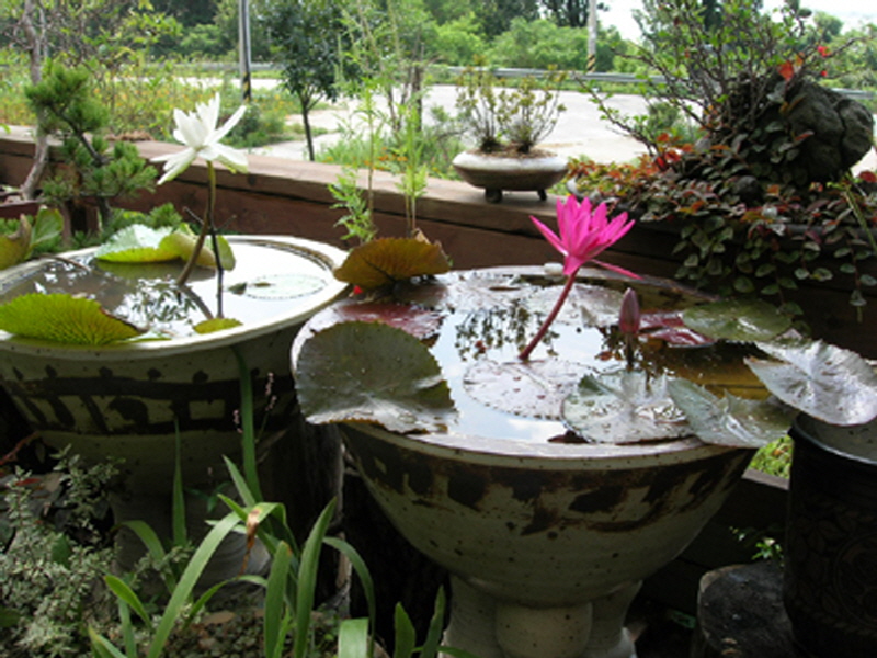 토담마을 사진5