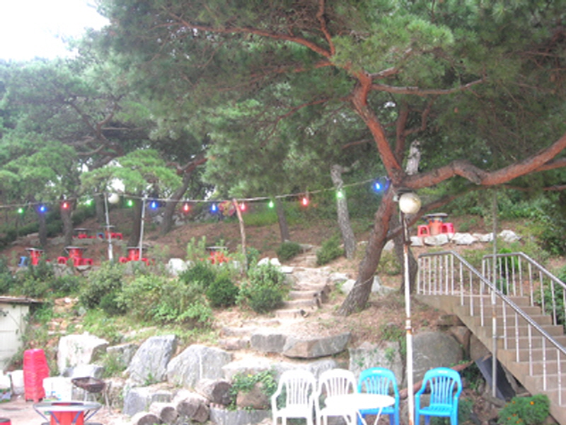 유천횟집 사진4