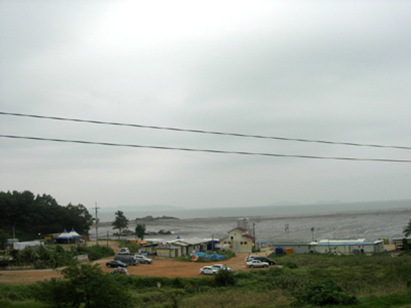 유천횟집 사진5