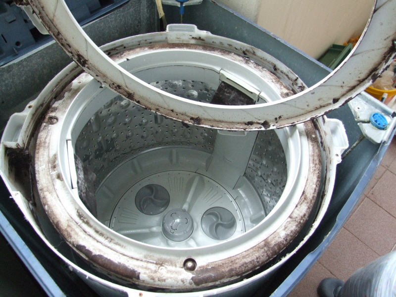 닥스리빙클럽 사진2