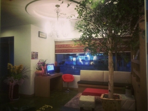 힐링 에스테틱 사진