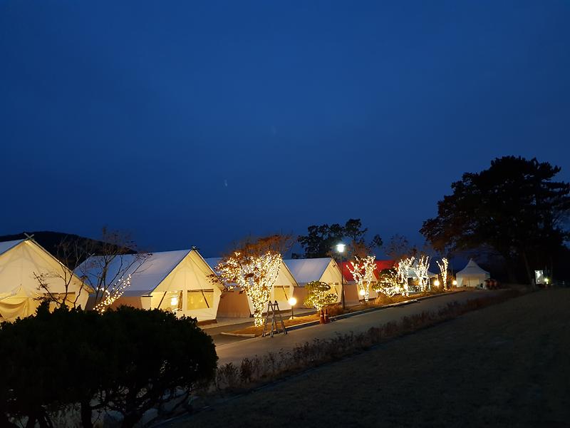 아로니움 사진2