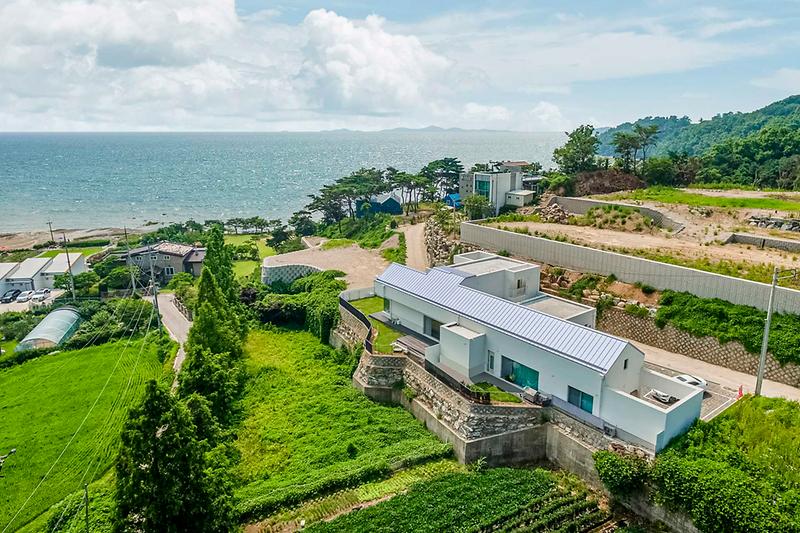 일리스테이 사진