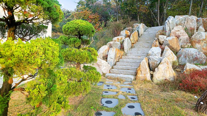 엘리야리조트(한국관광품질인증업소) 사진15